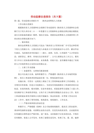 劳动监察自查报告