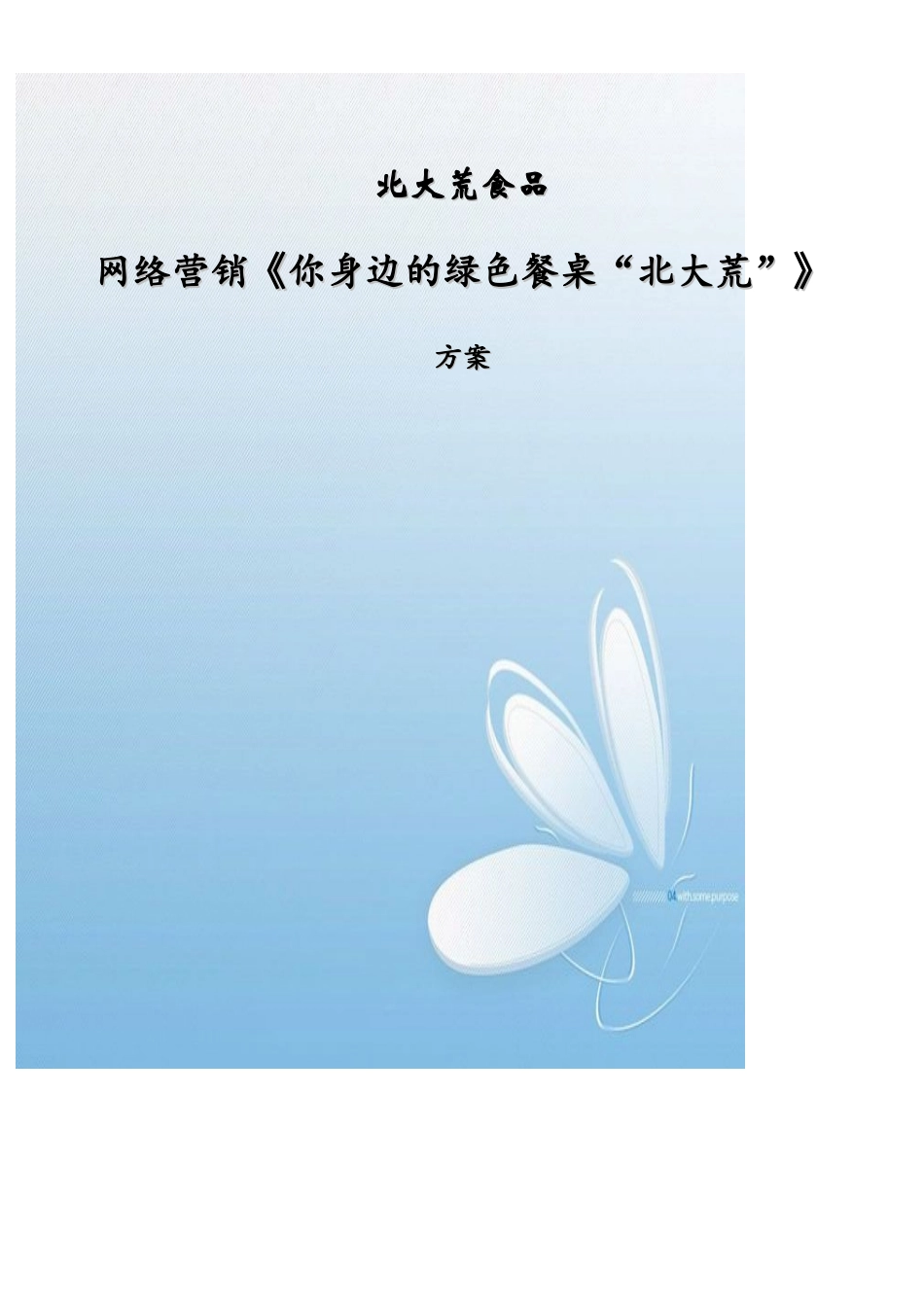 北大荒食品网络营销方案_第1页