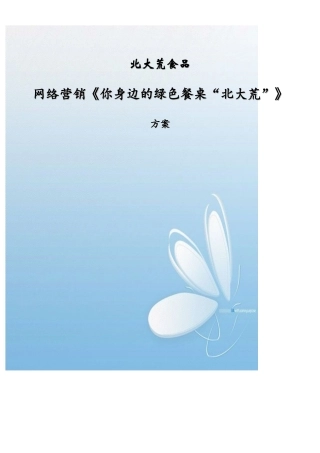 北大荒食品网络营销方案