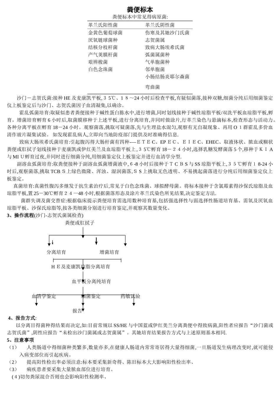 医学检验-粪便标本处理_第1页