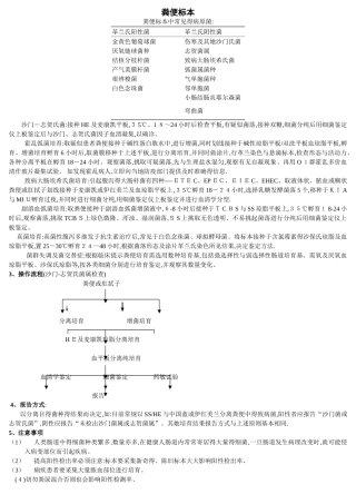 医学检验-粪便标本处理