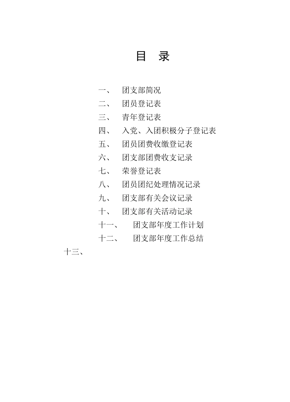 医院团支部台账管理_第2页