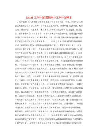 医院审计工作计划样本