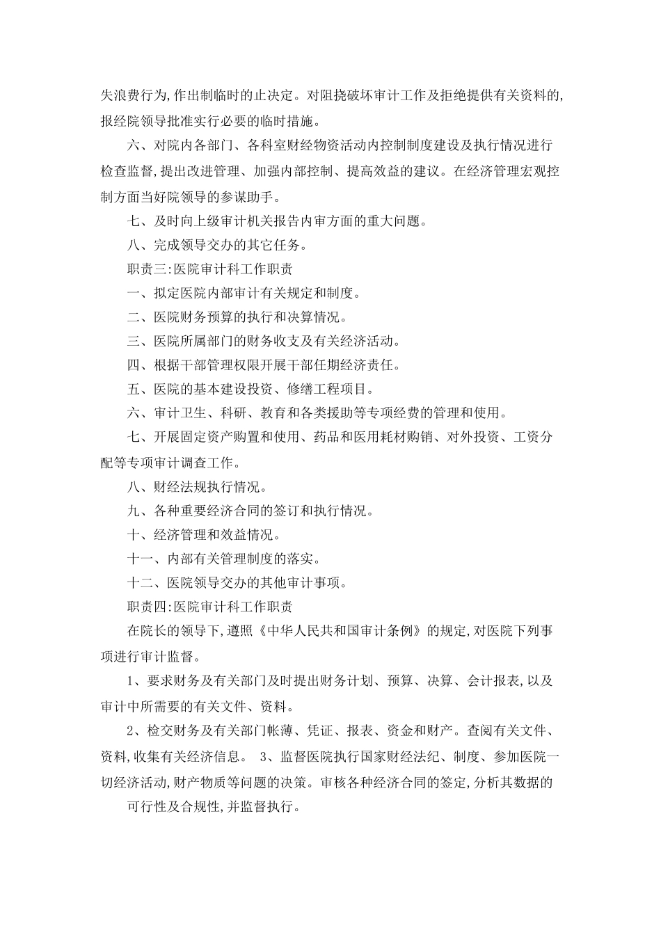 医院审计科工作总结_第2页