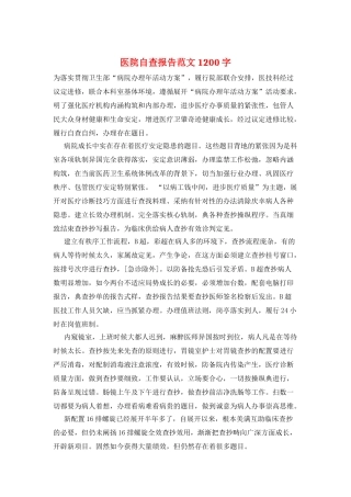 医院自查报告范文1200字