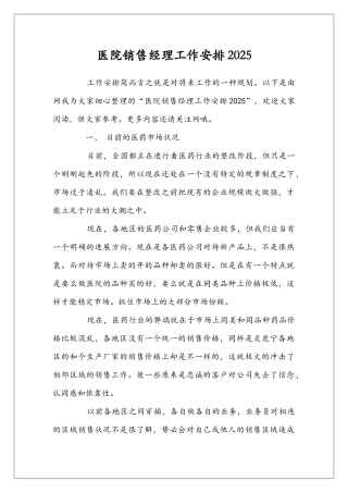 医院销售经理工作安排2025