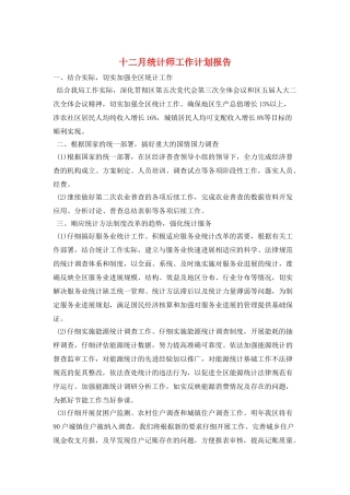 十二月统计师工作计划报告
