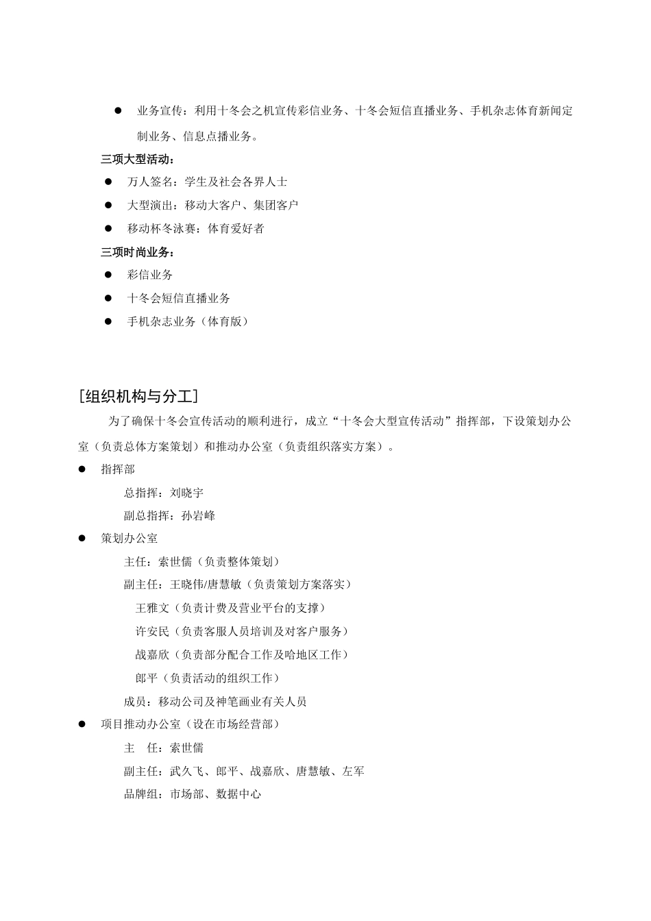 十冬会宣传方案_第3页