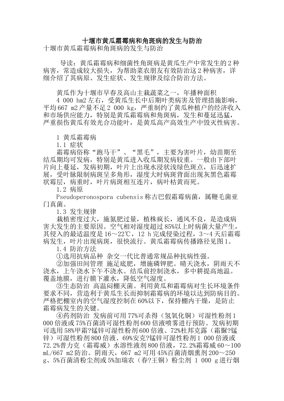 十堰市黄瓜霜霉病和角斑病的发生与防治_第1页