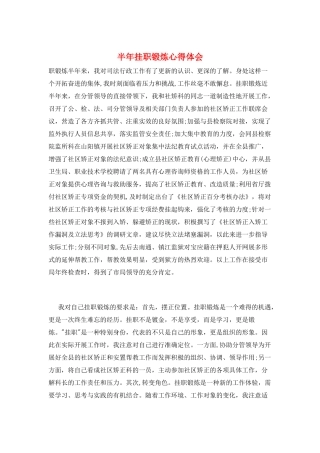 半年挂职锻炼心得体会