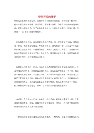 印鱼背后的绳子