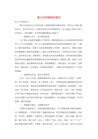 县人大代表发言范文