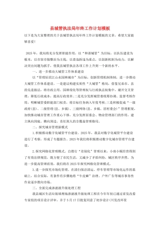 县城管执法局年终工作计划模板