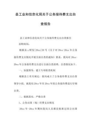 县工业和信息化局关于公务接待费支出自查报告