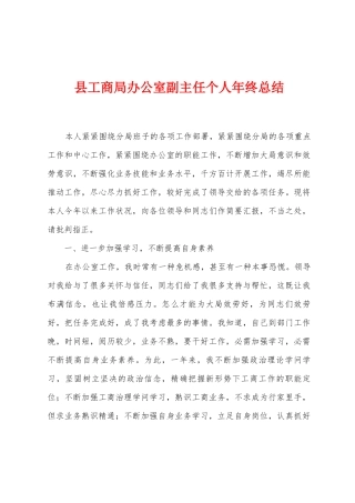 县工商局办公室副主任个人年终总结