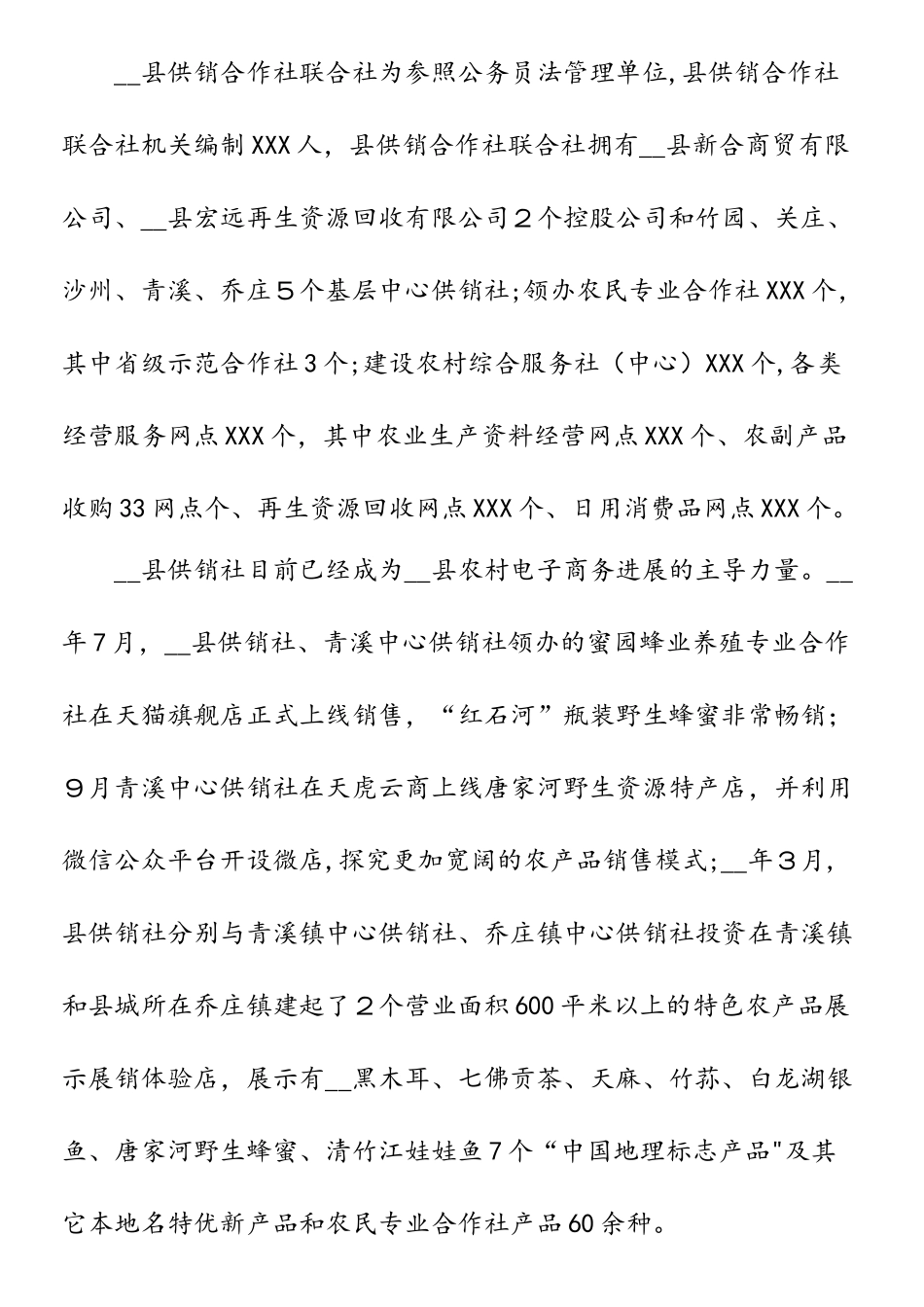 县电子商务建设项目实施方案_第3页