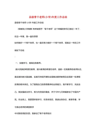 县级骨干教师年度工作总结