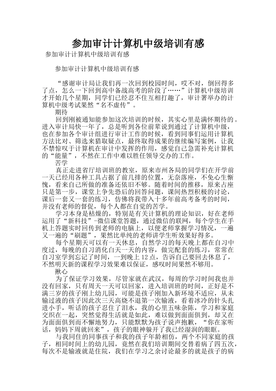 参加审计计算机中级培训有感_第1页