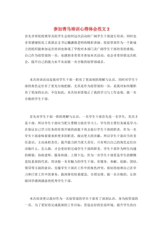 参加青马培训心得体会范文2