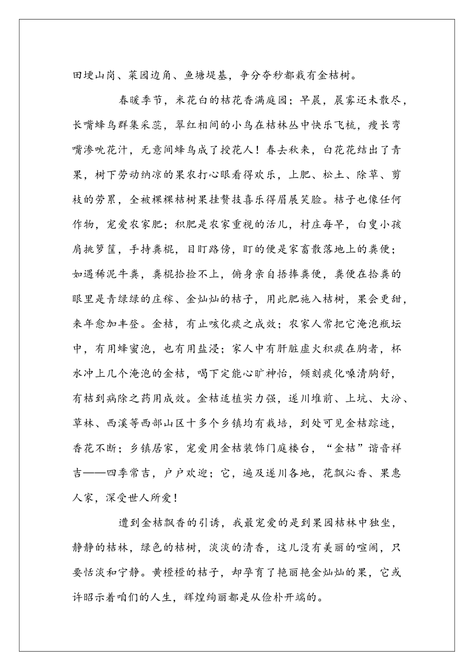 又到金桔飘香时抒情散文_第3页