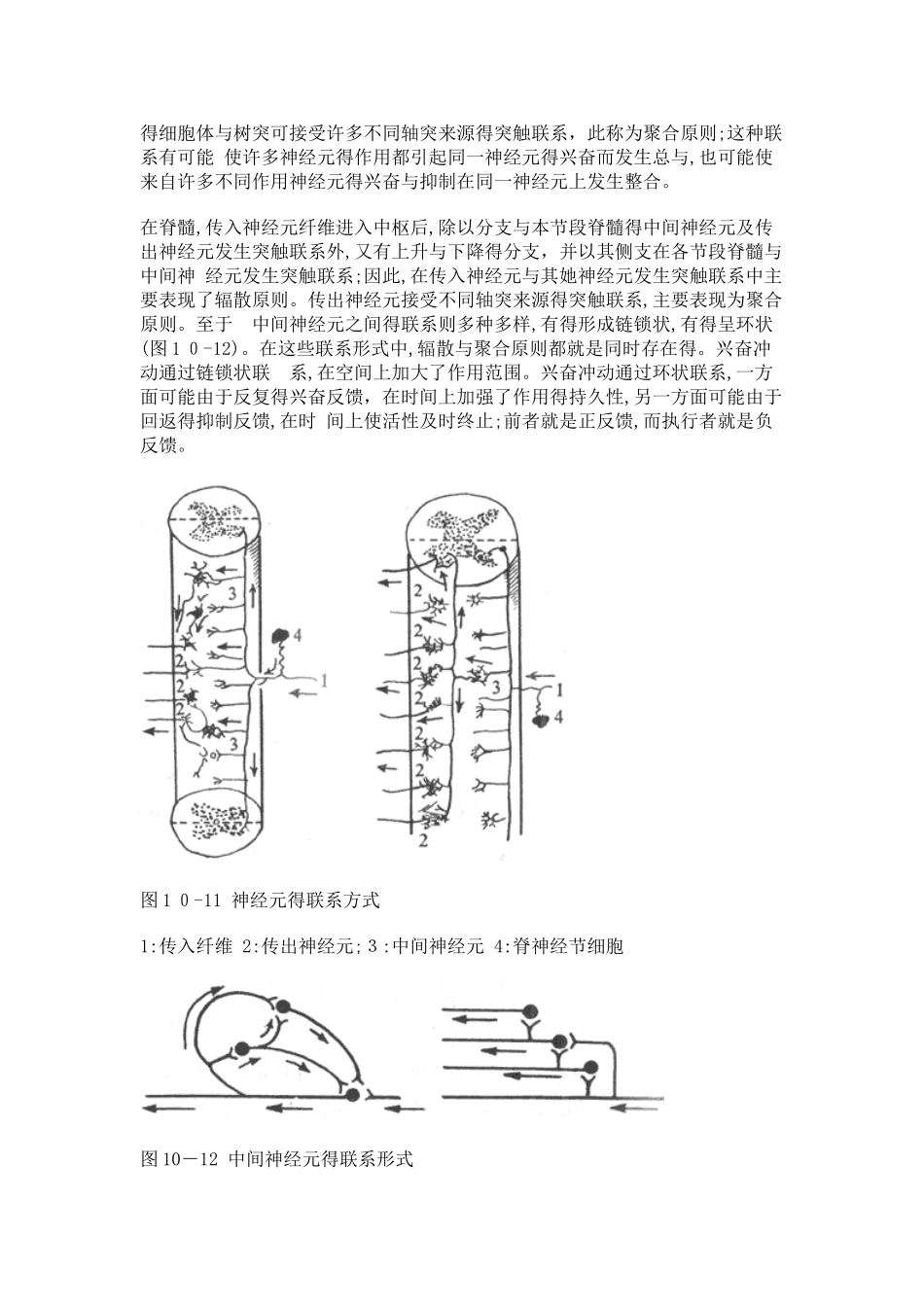 反射活动的一般规律_第3页