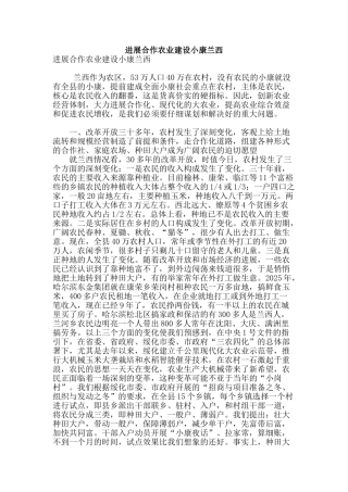 发展合作农业建设小康兰西