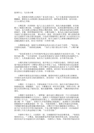 叙事作文飞翔的小鹰