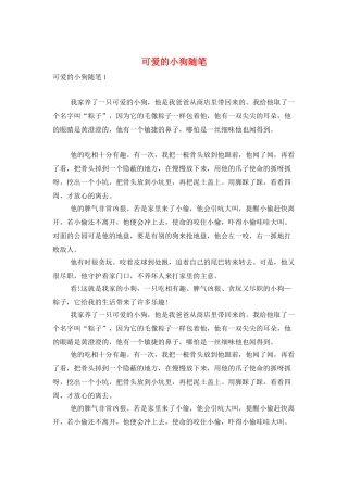 可爱的小狗随笔