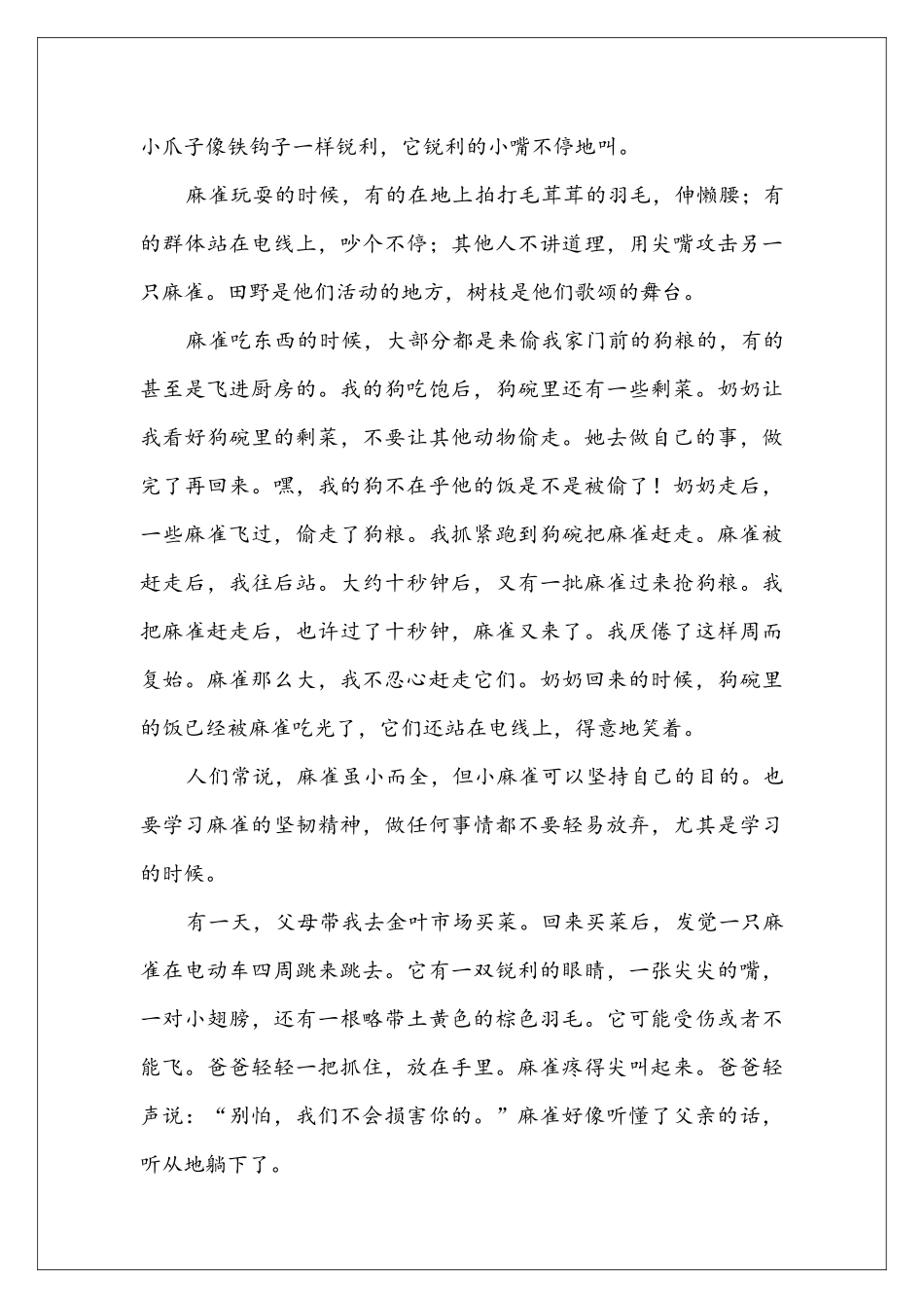 可爱的麻雀组合_第3页