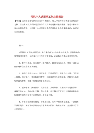 司机个人试用期工作总结报告