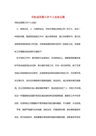 司机试用期工作个人总结五篇