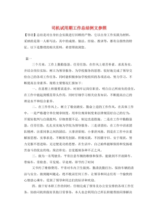司机试用期工作总结例文参照