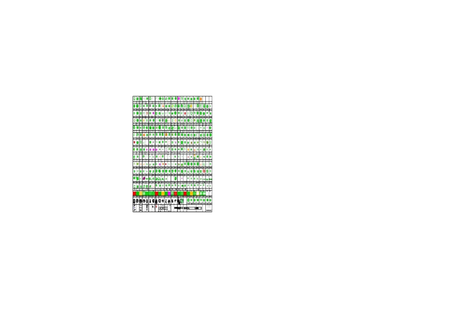 各种树木和符号cad_第1页