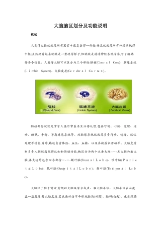 各脑区划分及功能-大脑对应的功能区