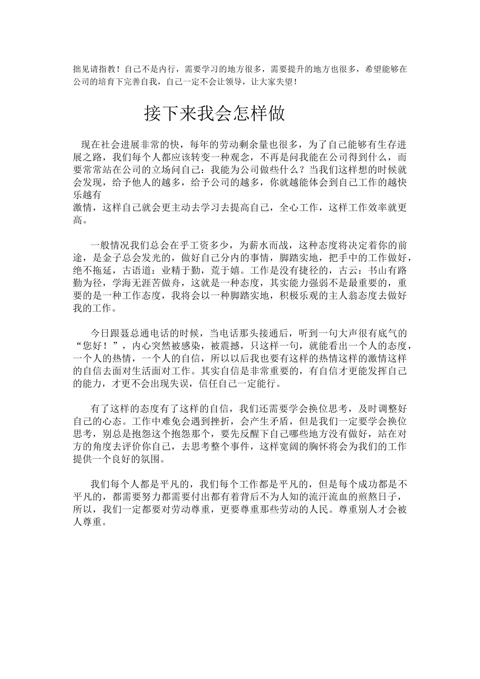 吉安市九天房地产新世界广场市场营销报告_第2页