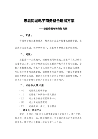 同城电子商务整合专项方案