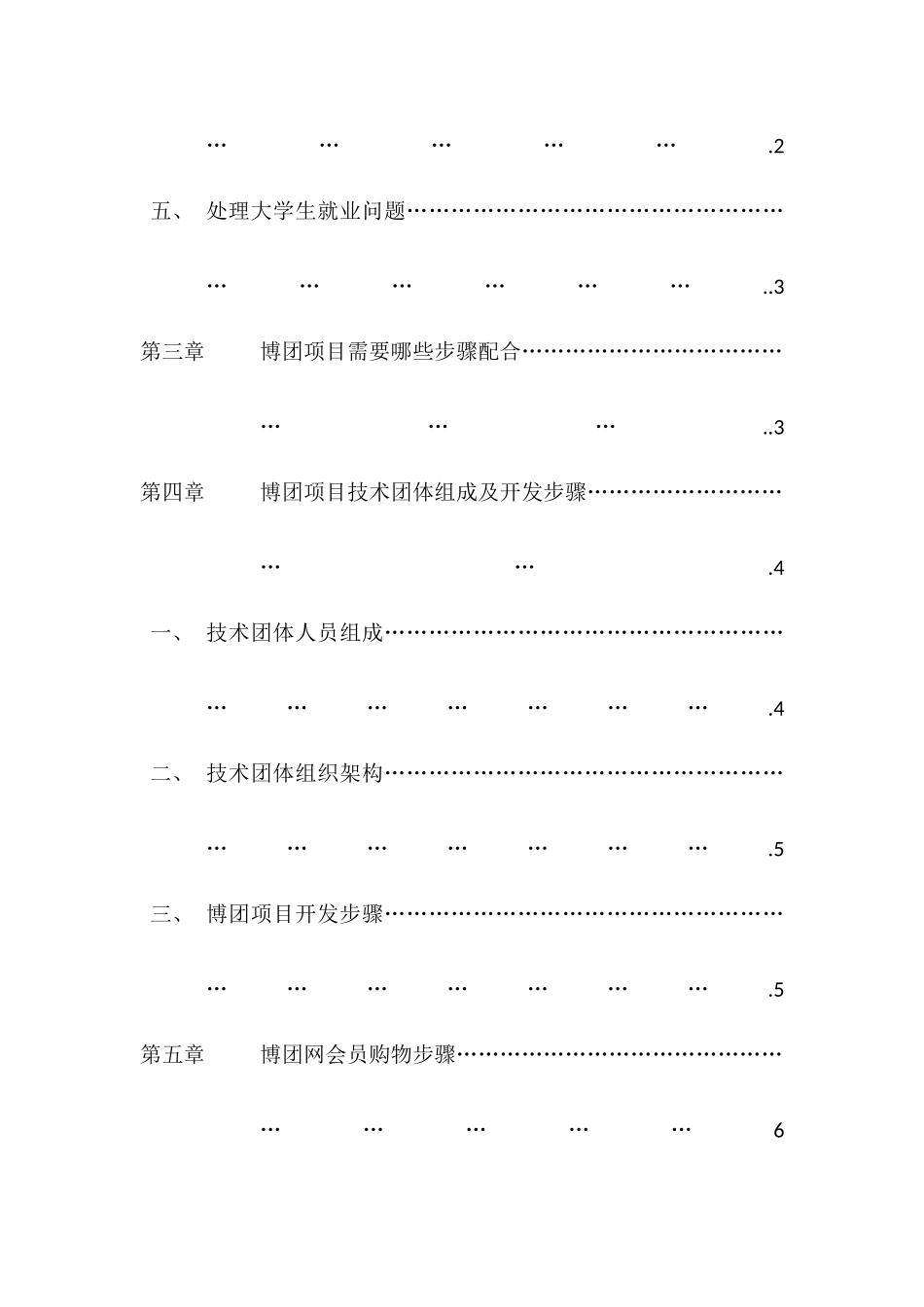 同城购物网站综合项目专项企划专项方案_第3页