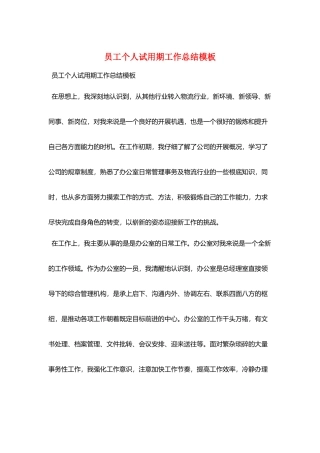 员工个人试用期工作总结模板