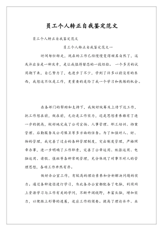 员工个人转正自我鉴定范文