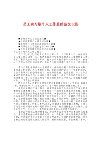 员工实习期个人工作总结范文5篇