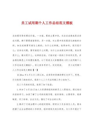 员工试用期个人工作总结范文模板