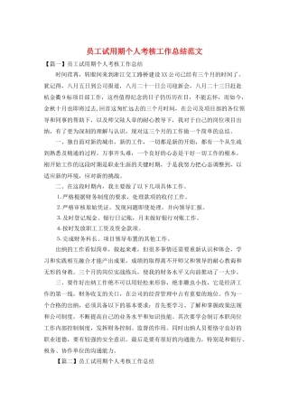 员工试用期个人考核工作总结范文
