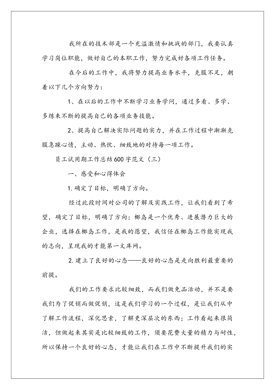 员工试用期工作总结600字范文_第3页