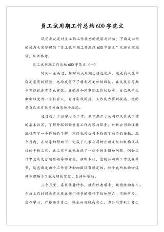 员工试用期工作总结600字范文