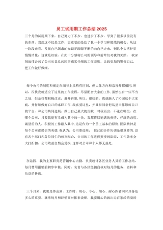 员工试用期工作总结2025