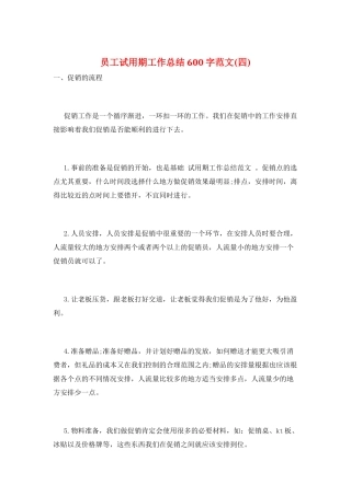 员工试用期工作总结600字范文