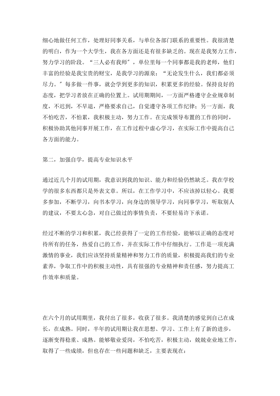 员工试用期工作总结模板_第2页