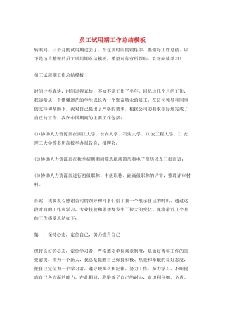 员工试用期工作总结模板