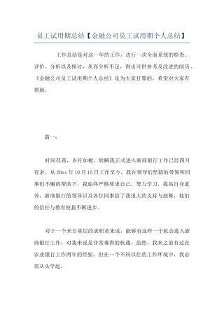 员工试用期总结