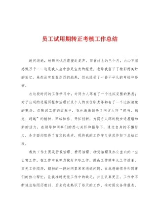 员工试用期转正考核工作总结